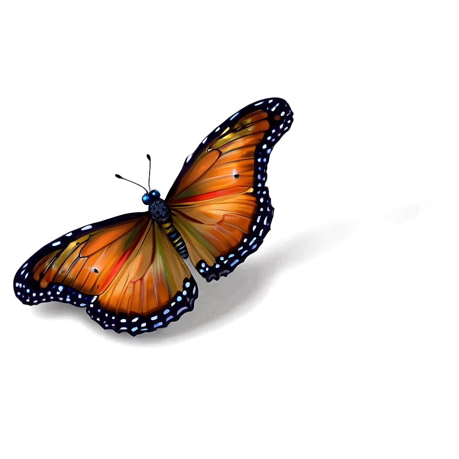 Transparent Background Butterfly Png Ptk97 PNG