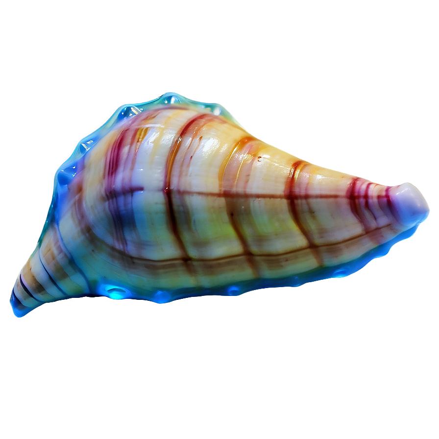 Transparent Background Conch Shell Png Slj75 PNG