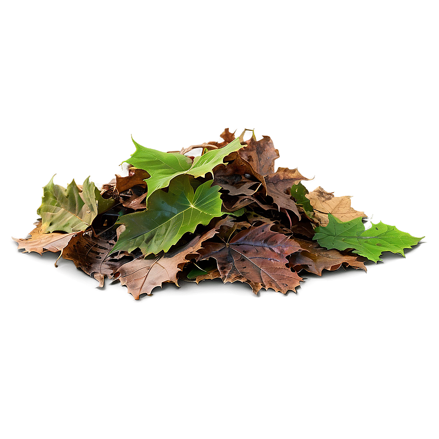 Transparent Background Leaf Pile Png 82 PNG