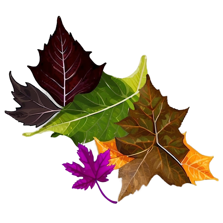 Transparent Background Leaf Pile Png 95 PNG