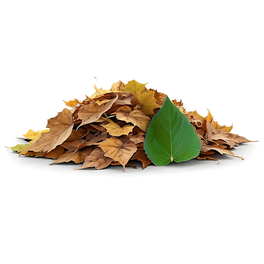 Transparent Background Leaf Pile Png Mno94 PNG