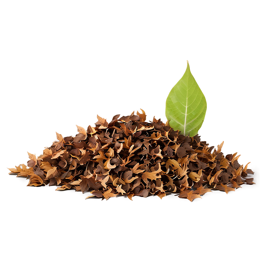 Transparent Background Leaf Pile Png Shv PNG