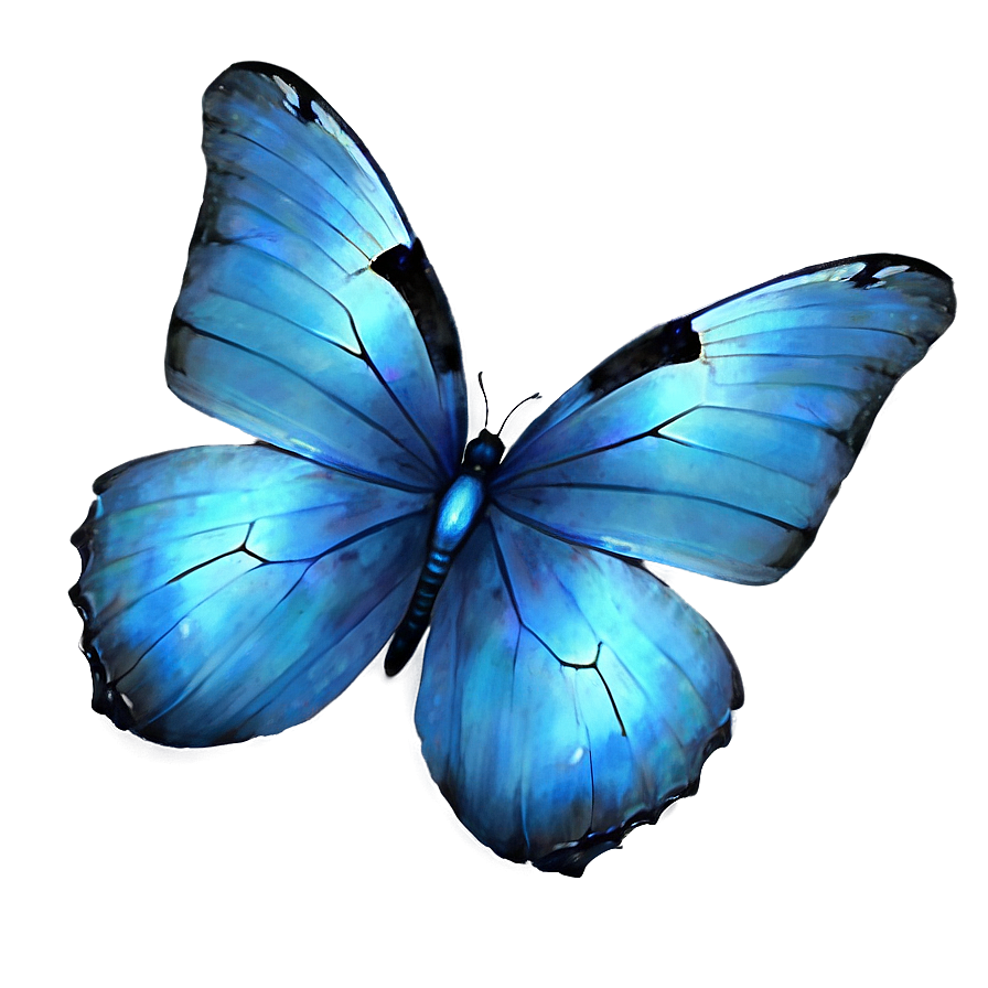 Transparent Blue Butterflies Png Nmx74 PNG