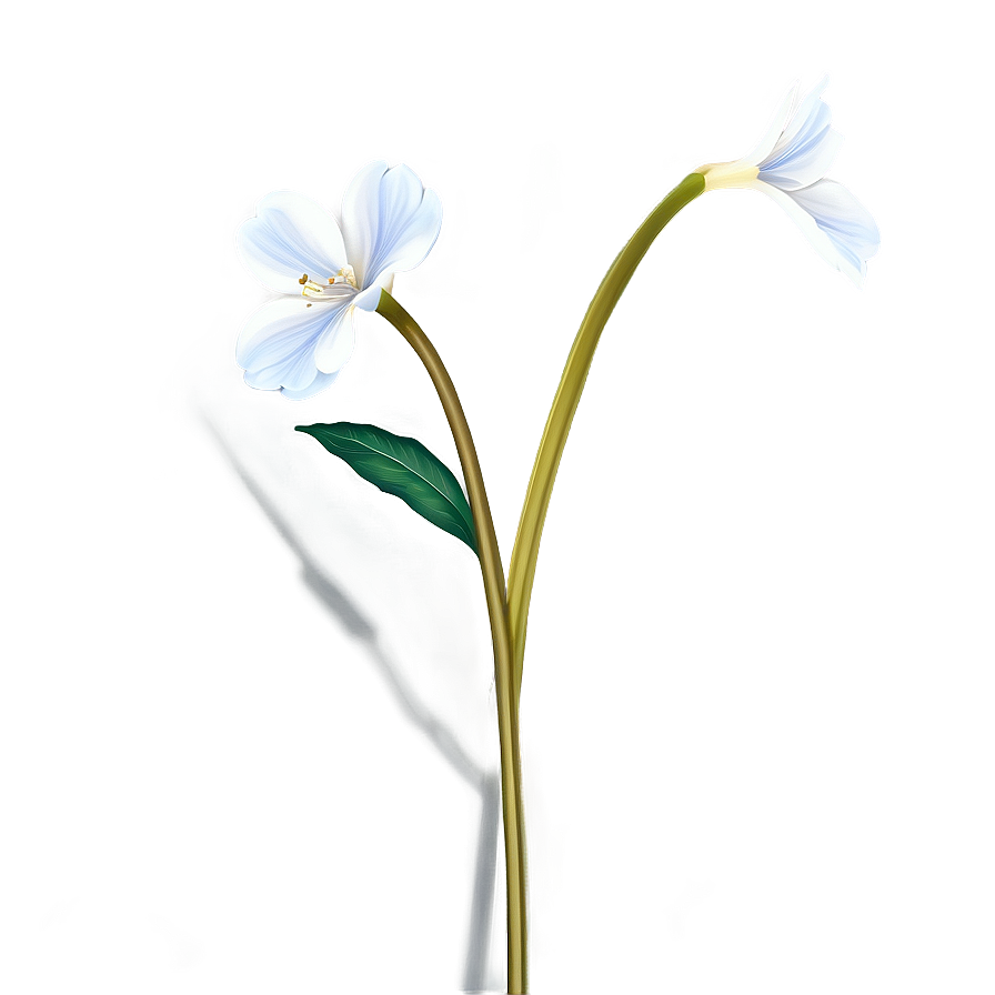 Transparent Flower Stem Png 06132024 PNG