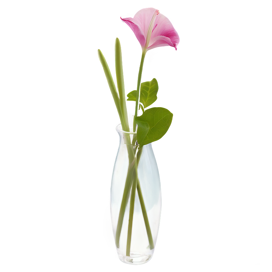 Transparent Flower Vase Png Yuv73 PNG