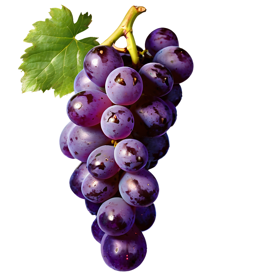 Transparent Grape Png 05212024 PNG