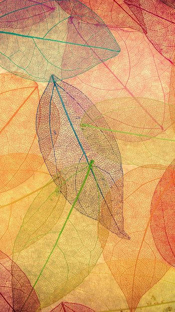 Transparent Leaves Art Iphone Wallpaper