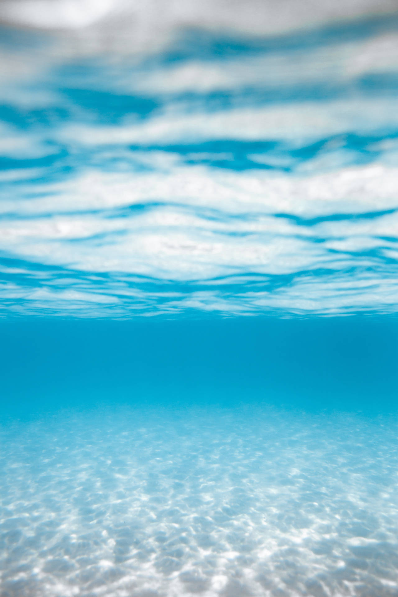 Transparent Ocean Water Wallpaper