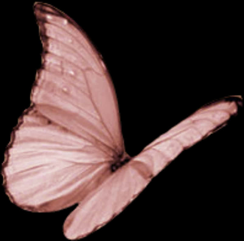 Transparent Pink Butterfly PNG