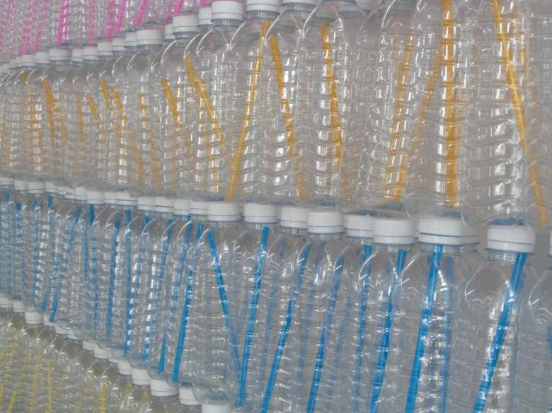 Transparent Plastic Bottles