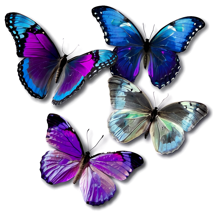 Transparent Purple Butterfly Png 26 PNG