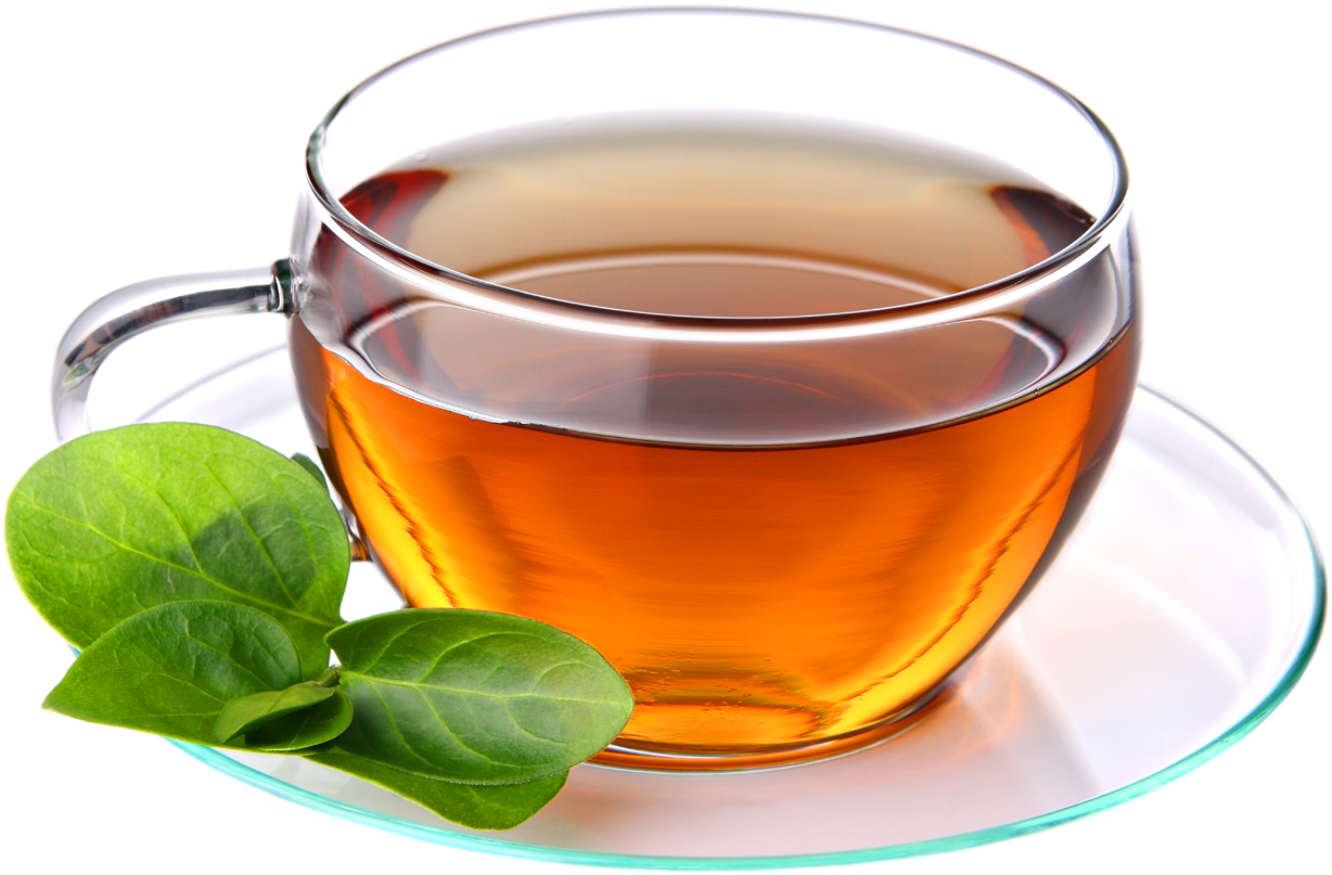 Transparent Tea Cup With Green Leaf PNG