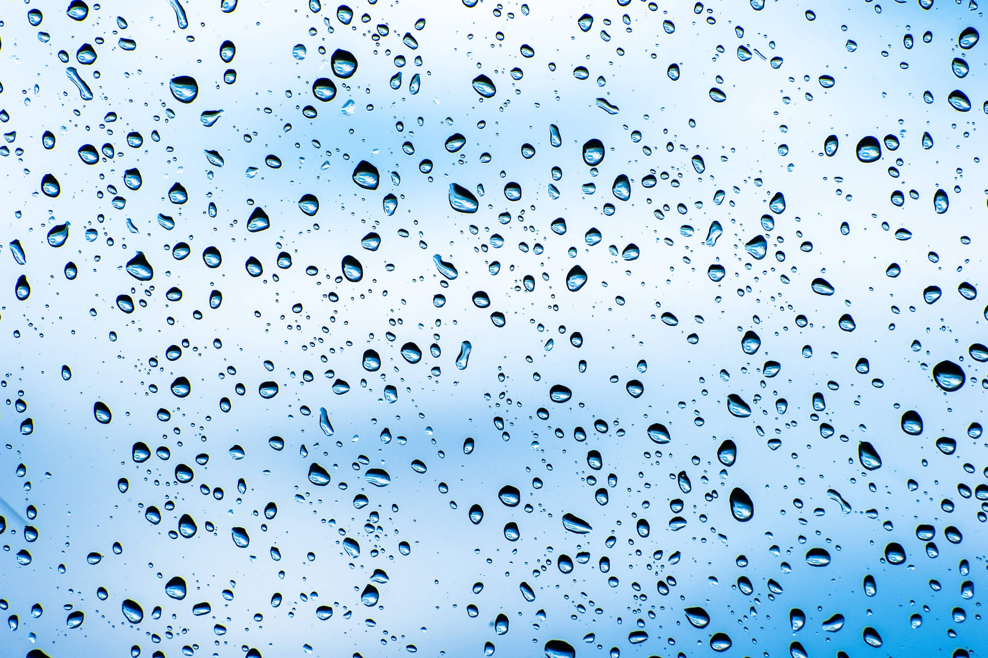Transparent Water Droplets Wallpaper