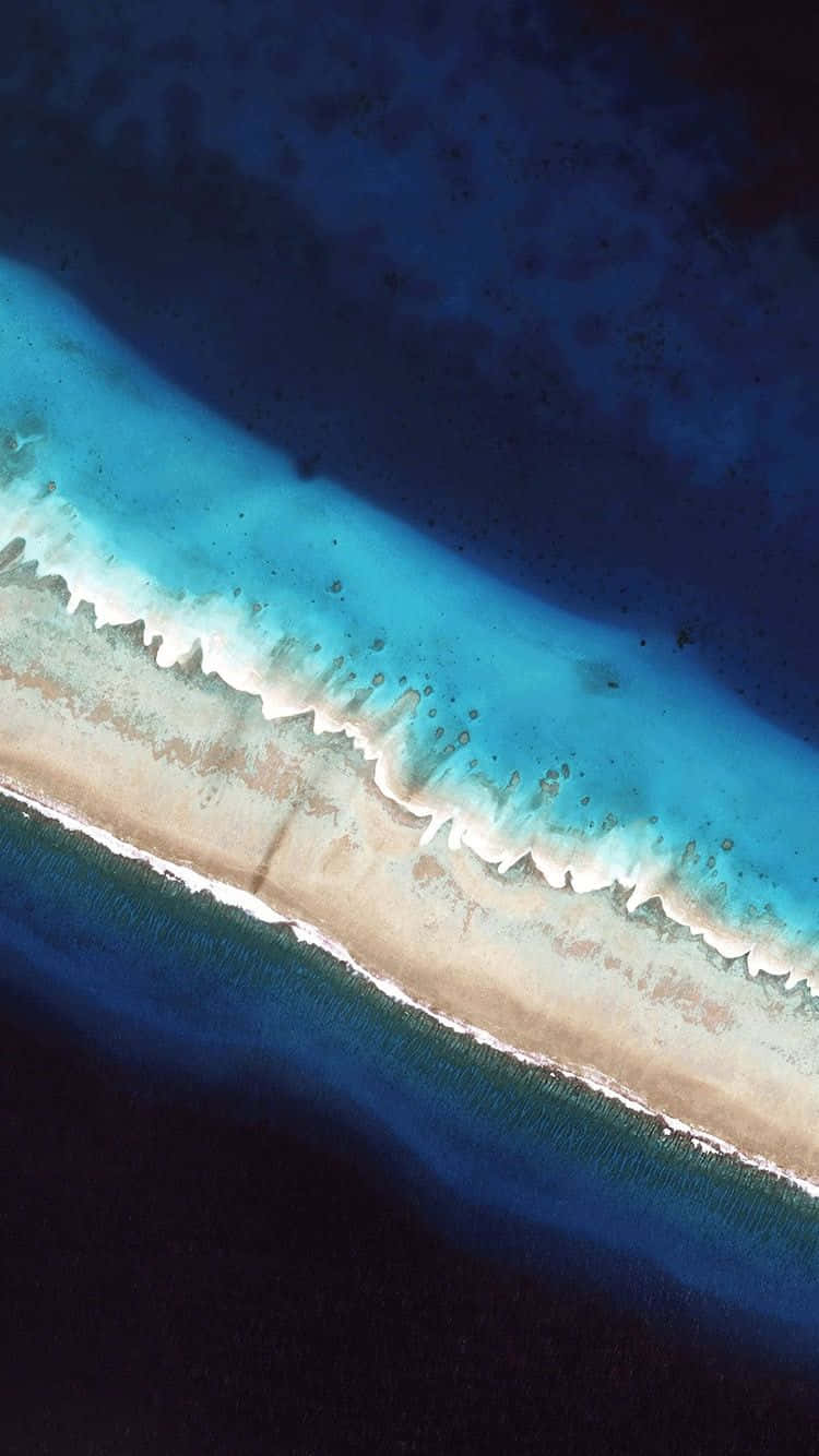 Et luftfoto af koralrevnet i Maldiverne Wallpaper