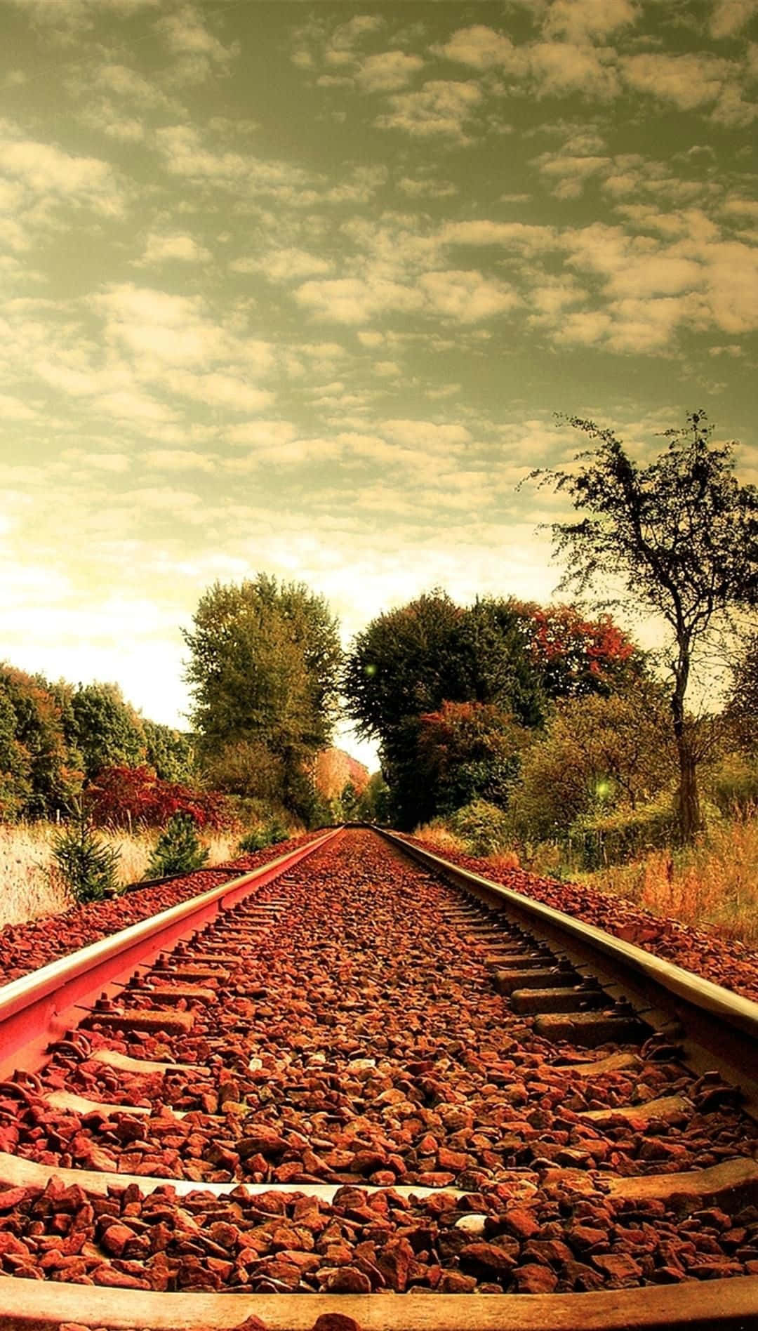 A Train Track With Trees Wallpaper