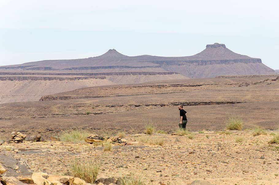 Atravesandolas Tierras Secas De Mauritania. Fondo de pantalla