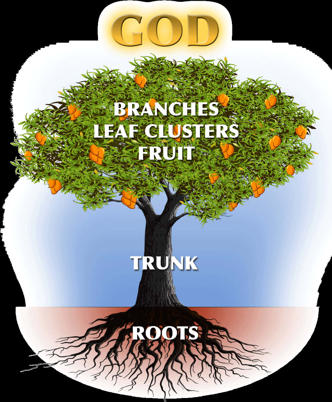 Tree Anatomy Spiritual Concept Illustration PNG