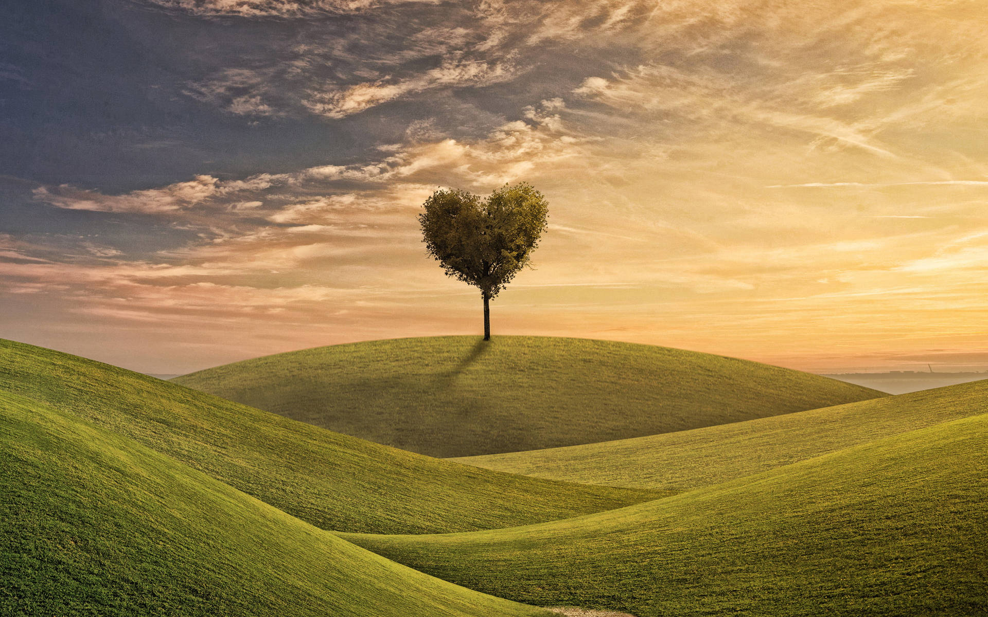 Tree And Hills Love Nature Wallpaper