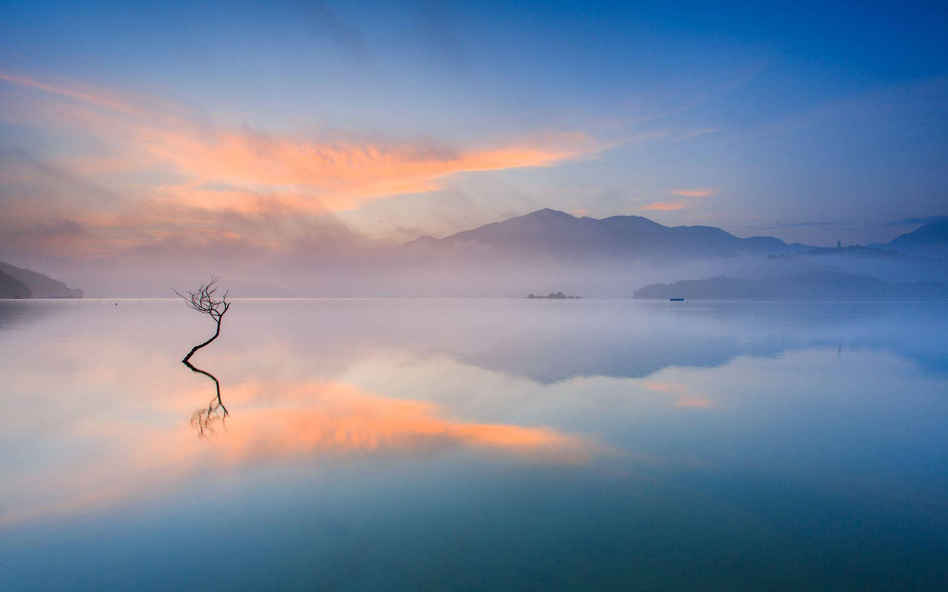 Tree Branch And Reflections In Quiet Lake Wanaka Wallpaper