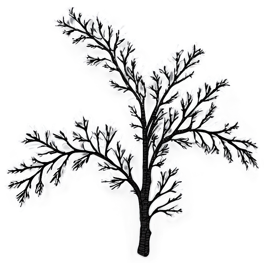 Download Tree Branch Clip Art Png 67 | Wallpapers.com