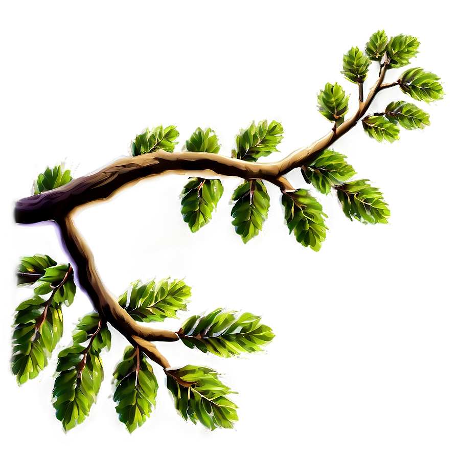 Tree Branch Frame Png Kku42 PNG