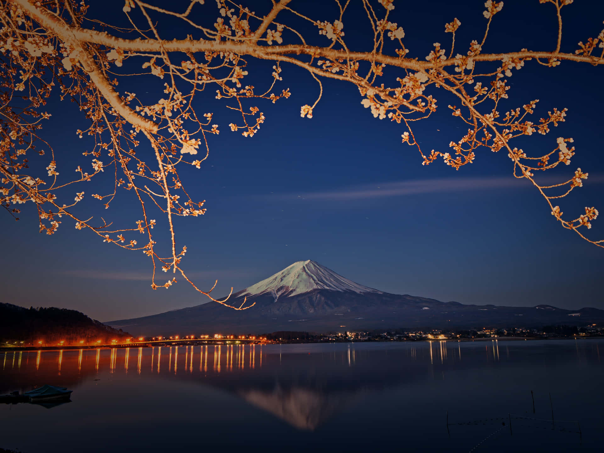 Bildav Fuji-berget Och Trädstam