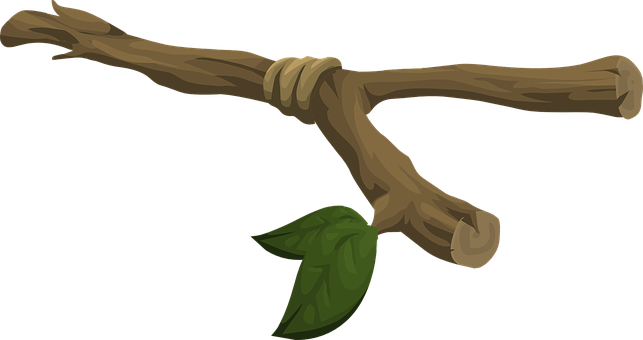 Tree Branch Single Leaf PNG