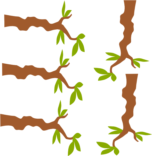 Tree Branches Sprouting Leaves Illustration PNG