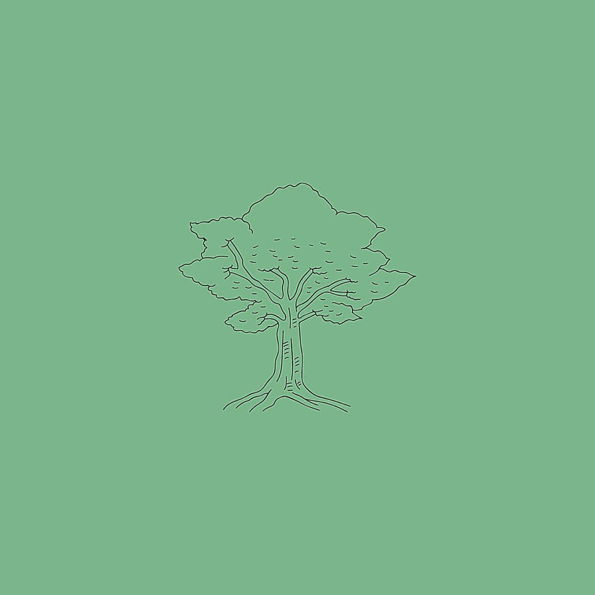 Tree Drawing Aesthetic Green Minimal Wallpaper