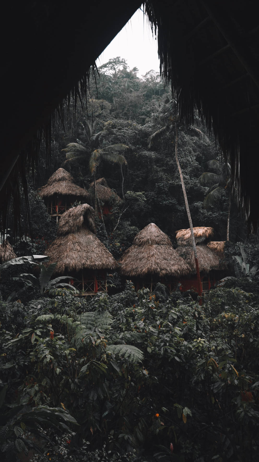 Tree Hut Jungle iPhone Wallpaper