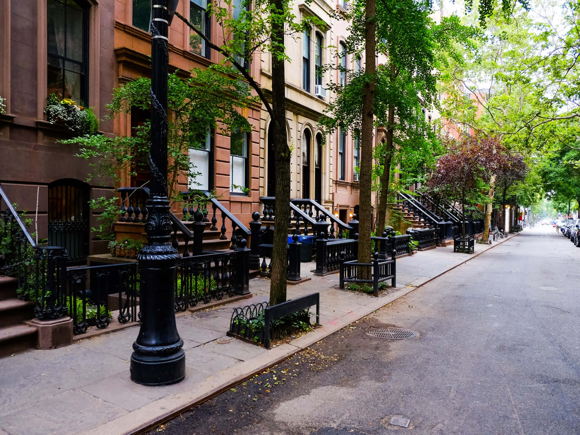 Tree Lined Urban Street With Brownstones Wallpaper