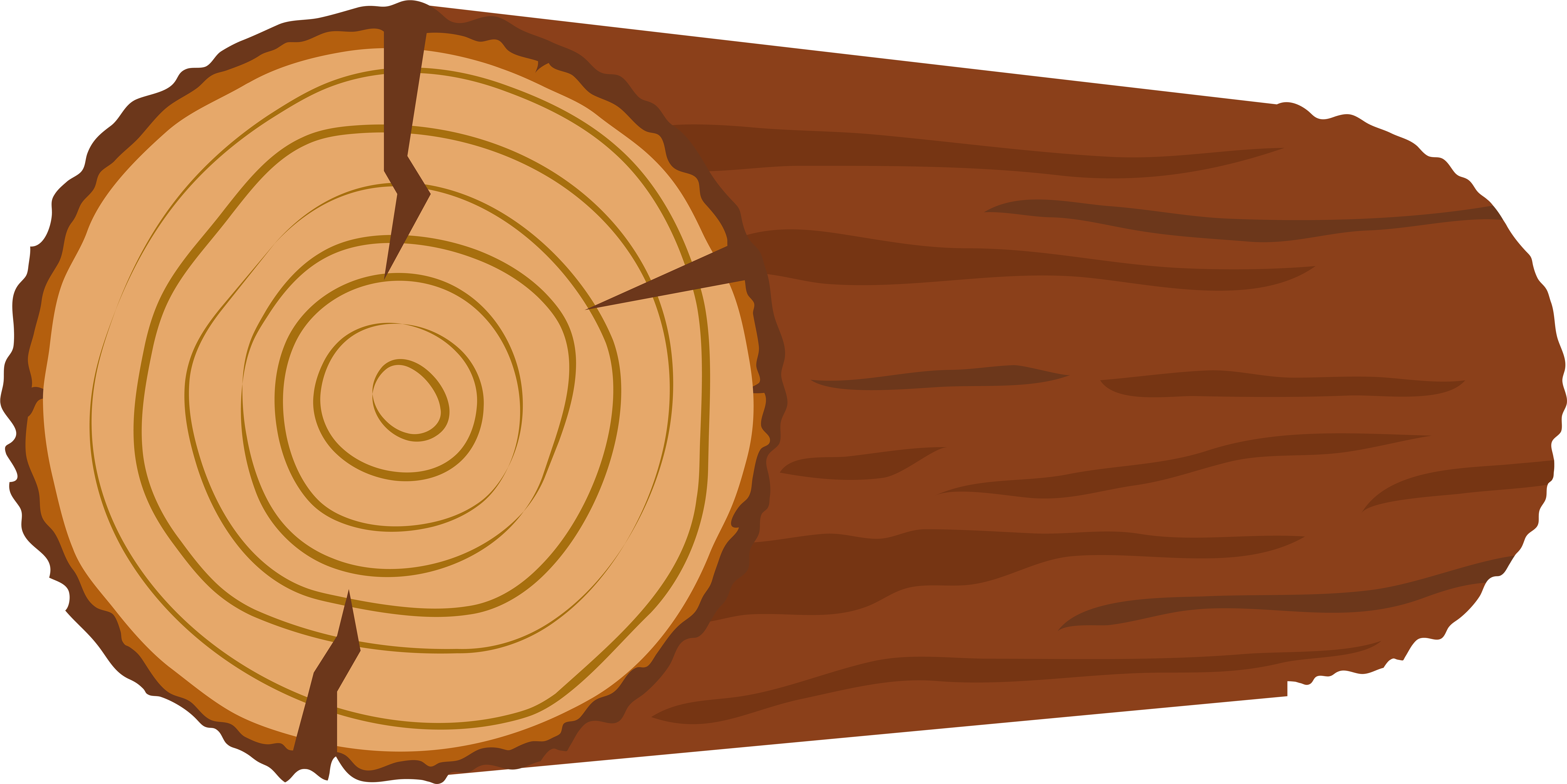 Tree Log Cross Section Illustration PNG