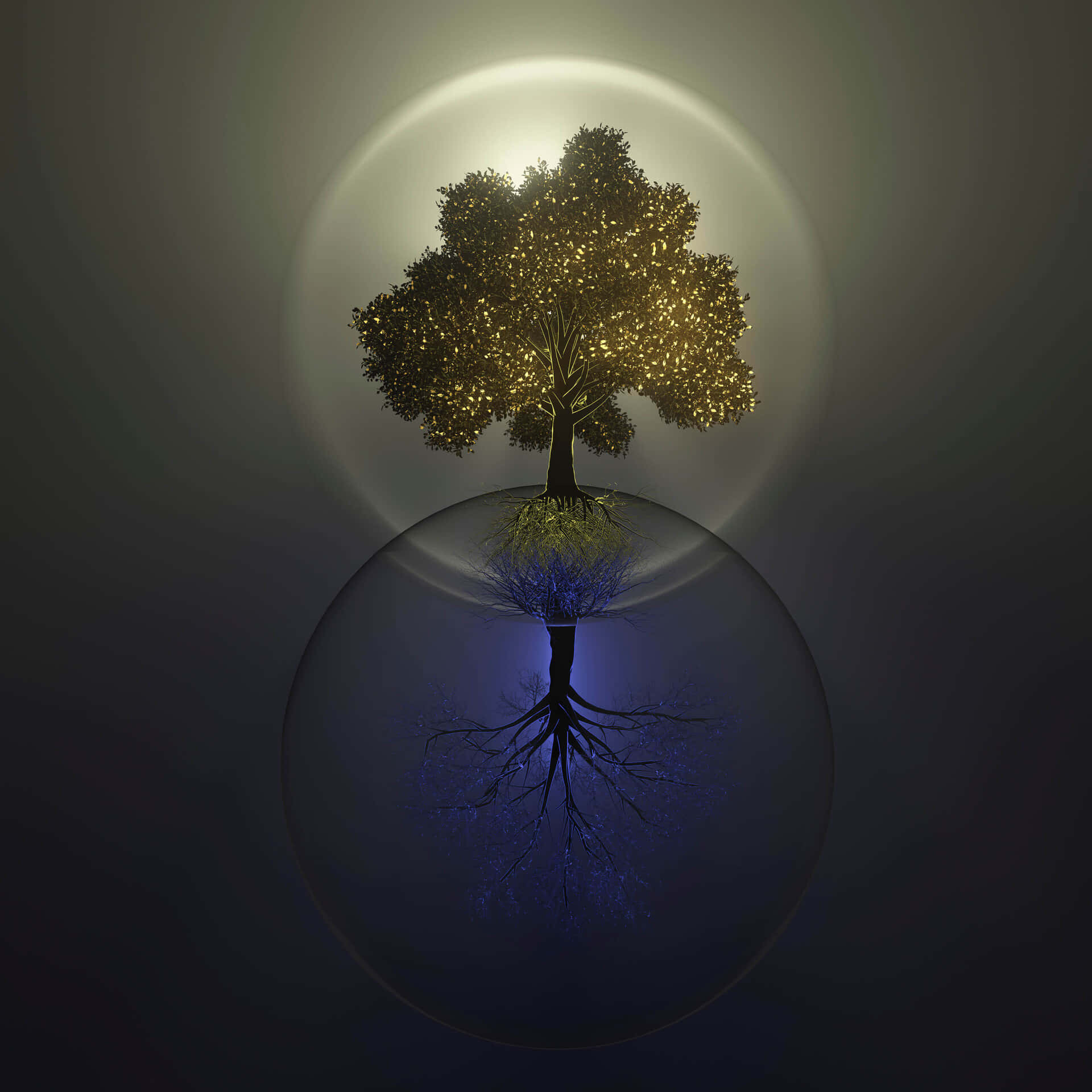 Tree Of Life With Reflected Image Wallpaper