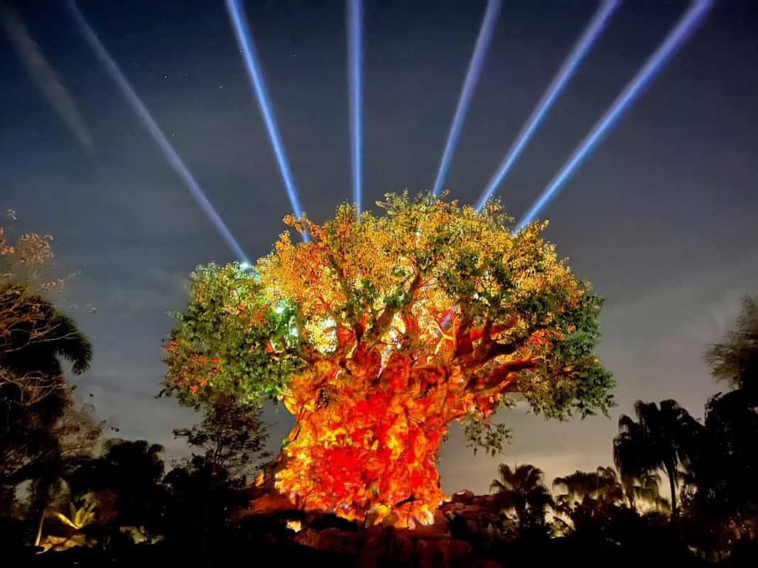 Captivating Tree of Life Illustration