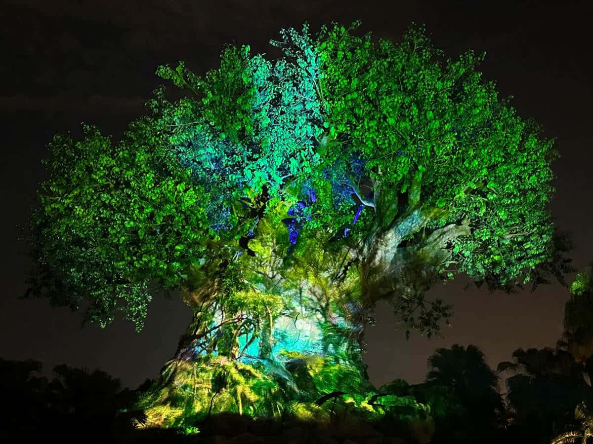 Mystical Tree of Life against a Starry Night Sky