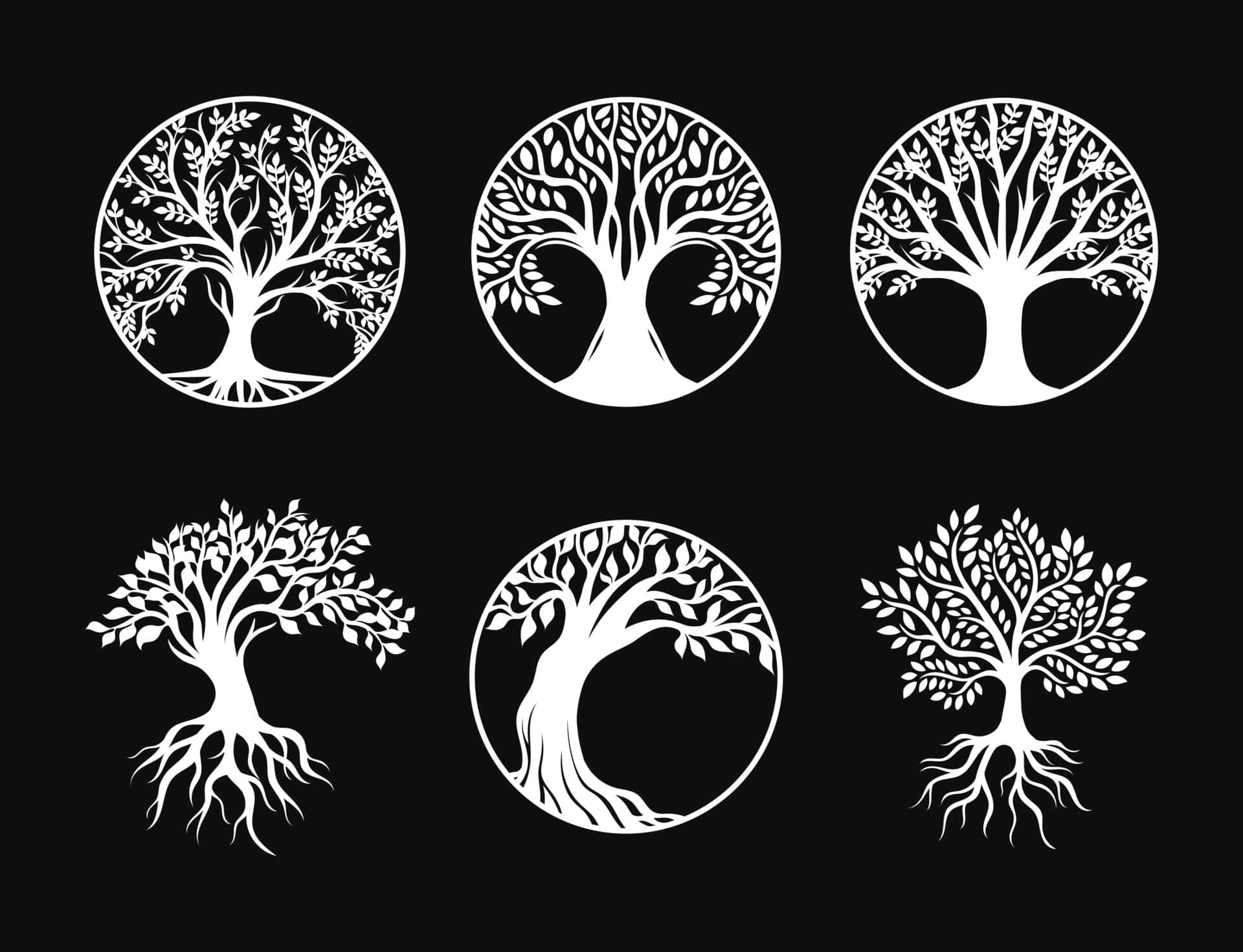 Download Magical Tree Of Life in Mystical Forest | Wallpapers.com