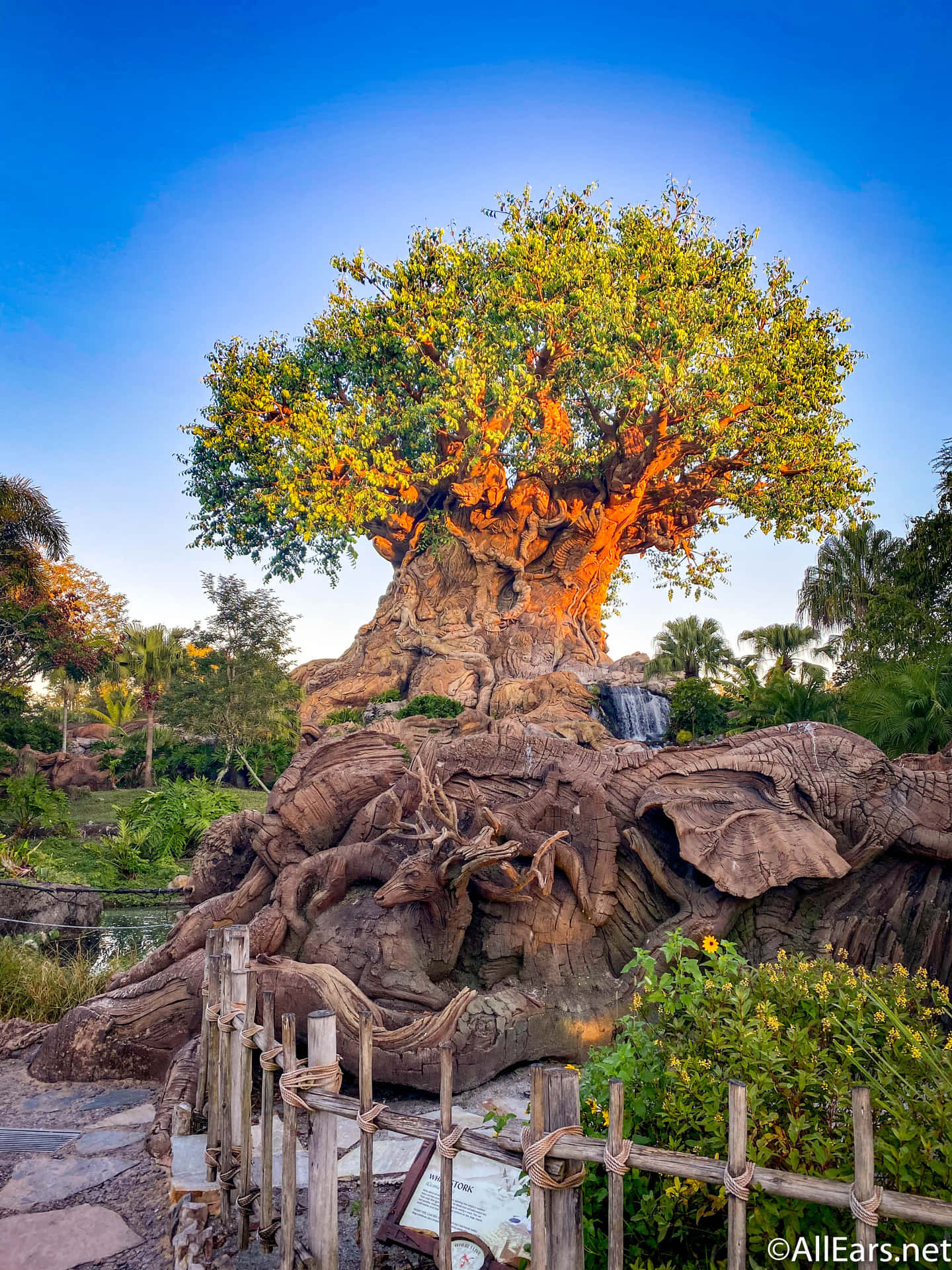Amaravilha Da Natureza: Uma Majestosa Árvore Da Vida. Papel de Parede