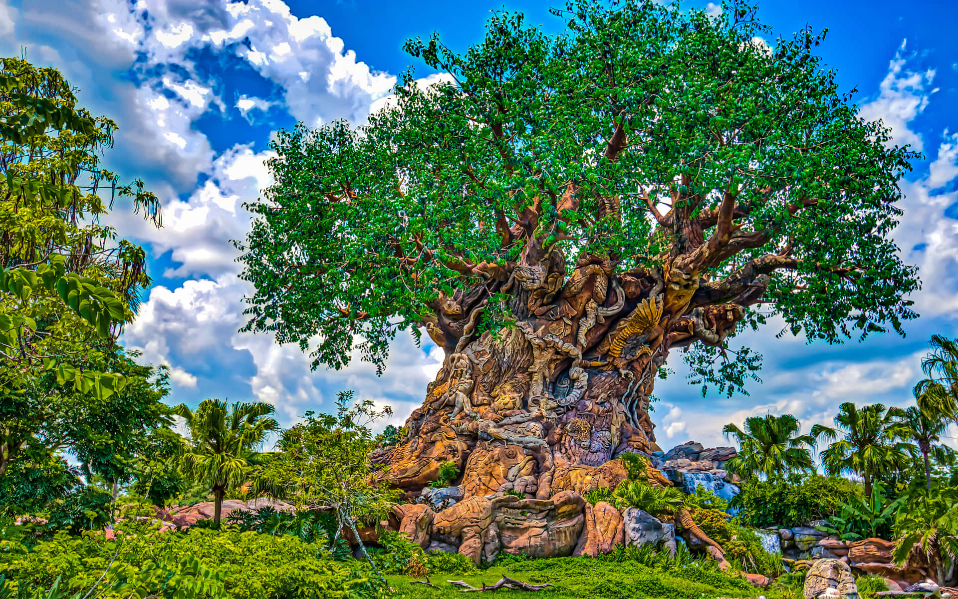 "an Ancient Tree, Symbolizing Life And Growth." Wallpaper