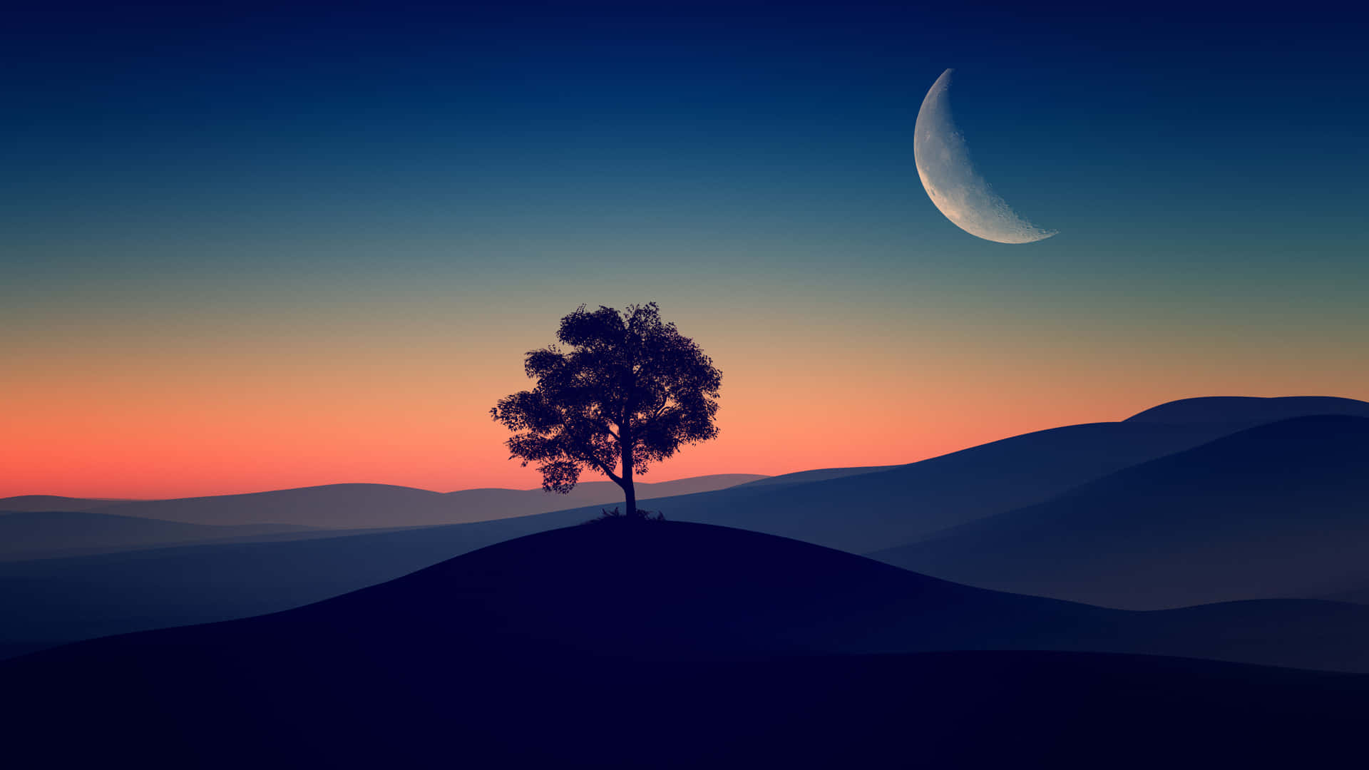 Træ på bakke under aftenhimmel Wallpaper