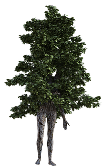 Tree Person Hybrid Art PNG