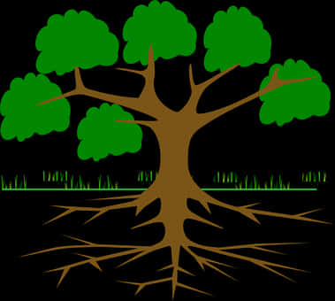 Tree Roots System Illustration PNG