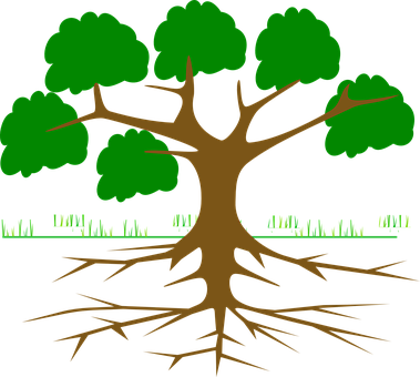 Tree Roots Vector Illustration PNG