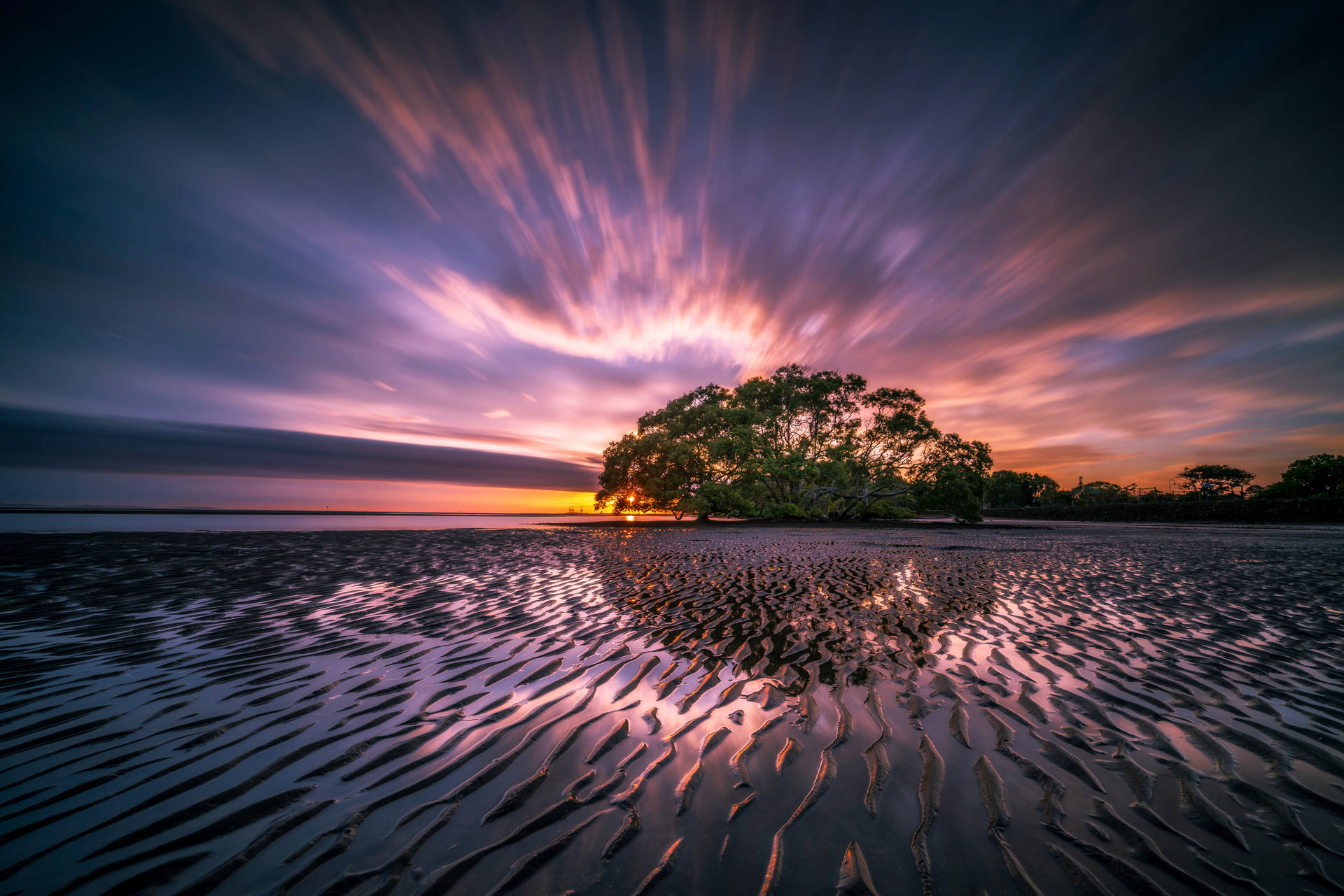 Tree Seashore Purple Sunrise