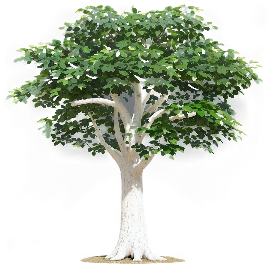 Tree Shade Analysis Png 3 PNG