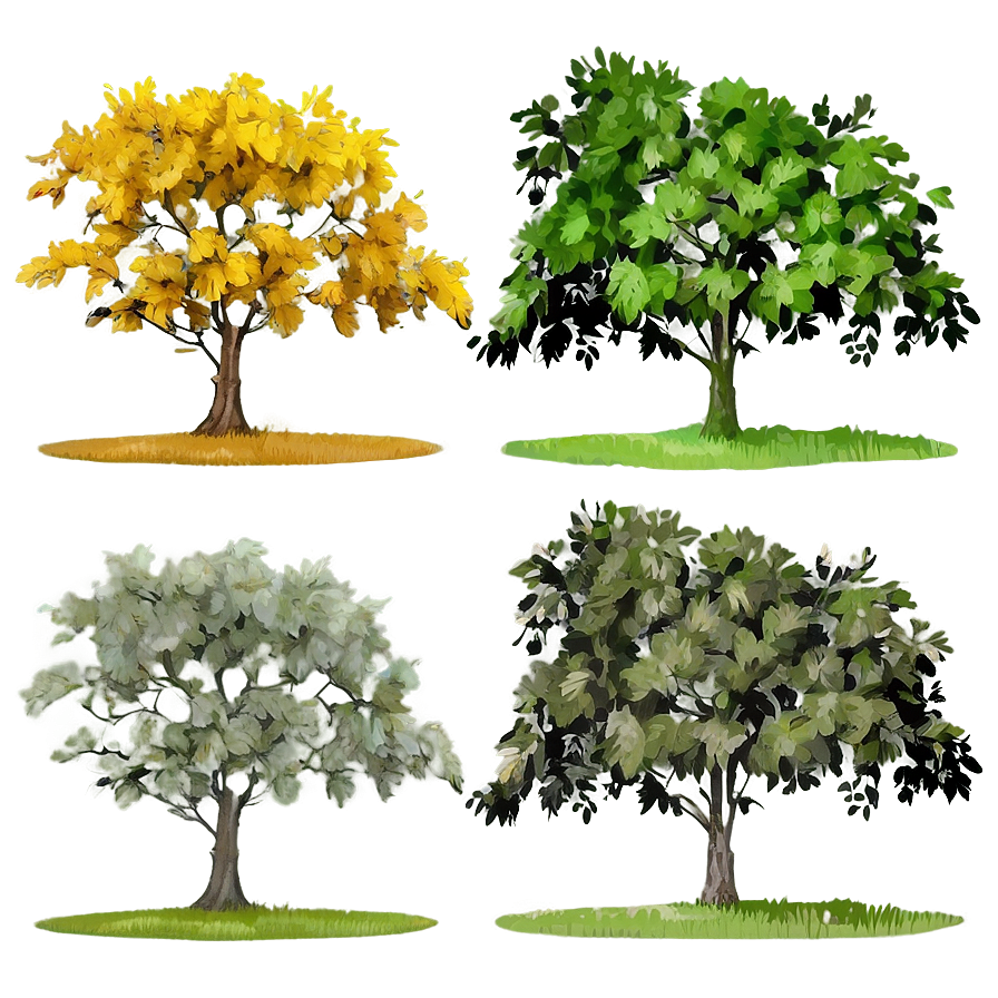 Tree Shade Analysis Png Kpj PNG