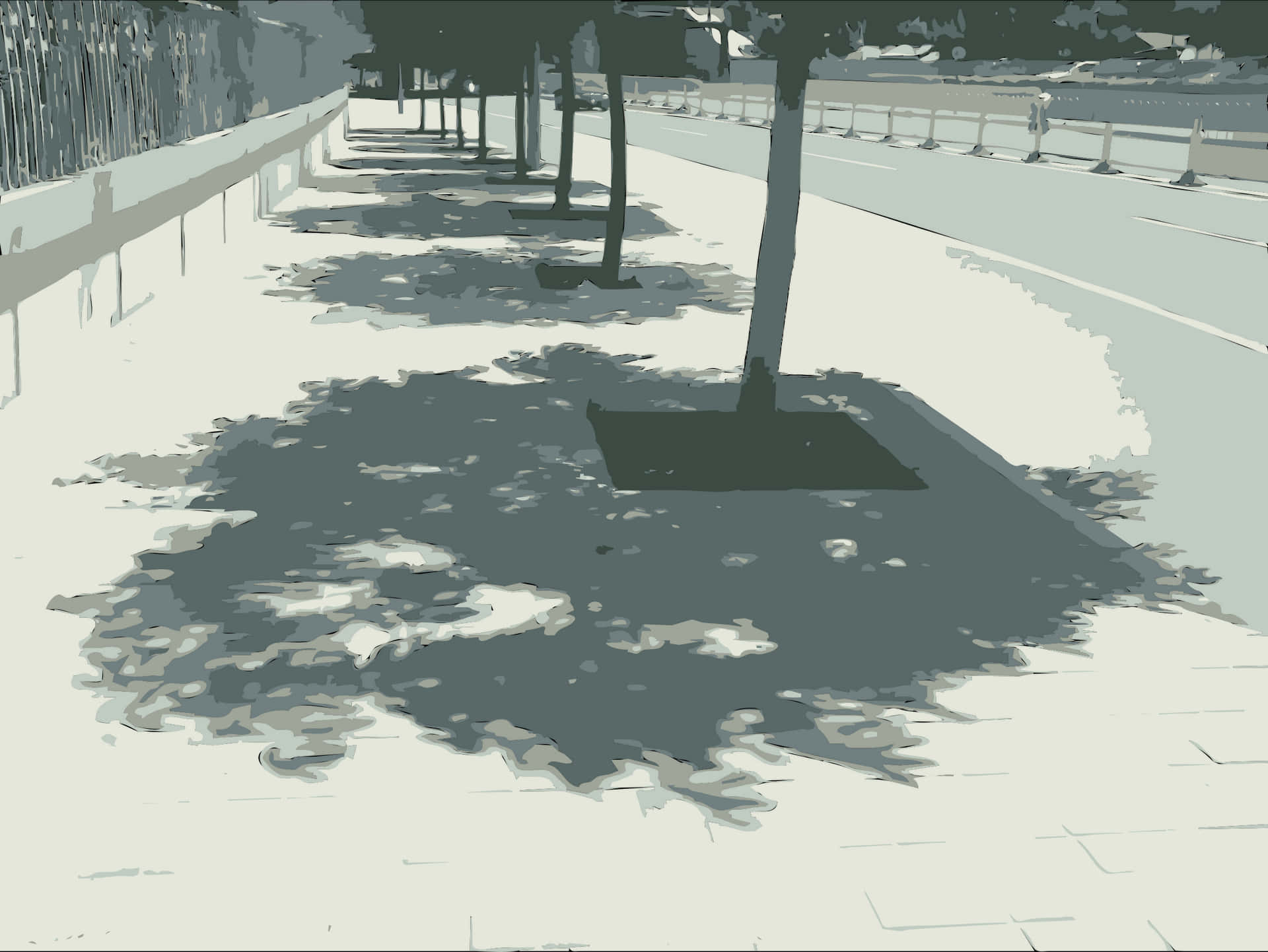 Tree Shadowon Sidewalk PNG