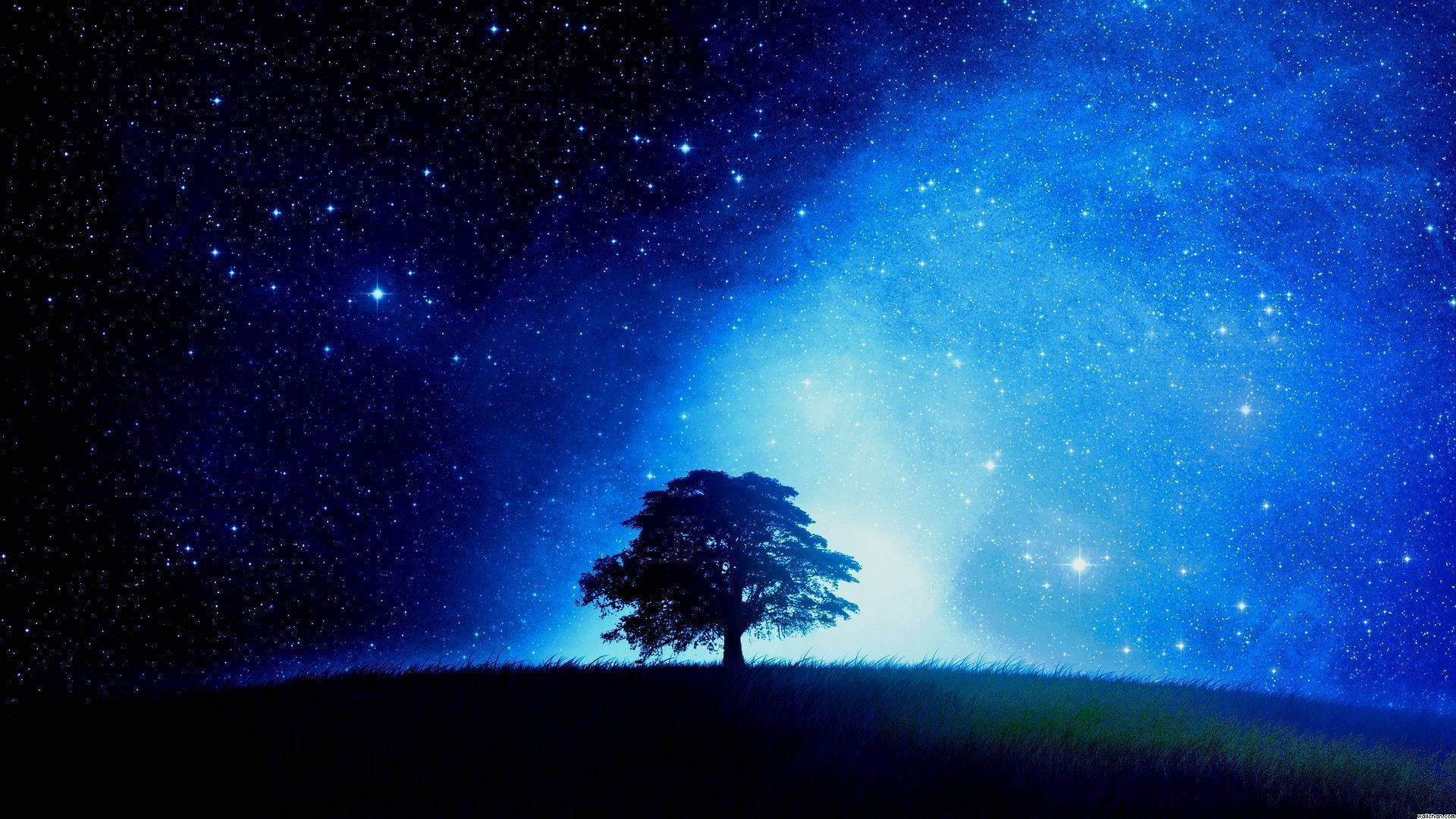Siluetade Árbol En El Cielo Nocturno De Anime Fondo de pantalla