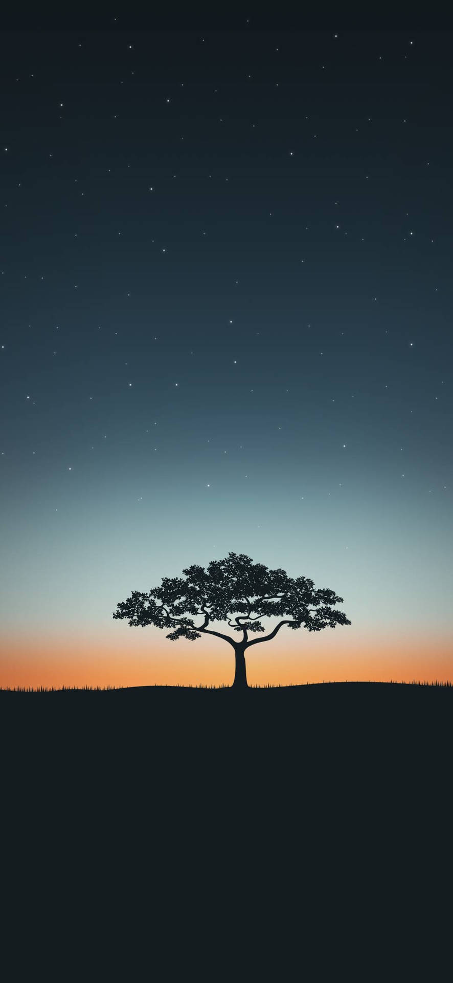 Tree Silhouette Iphone 2021 Wallpaper