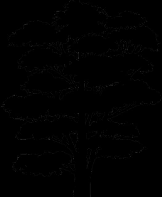Tree Silhouette Outline.png PNG