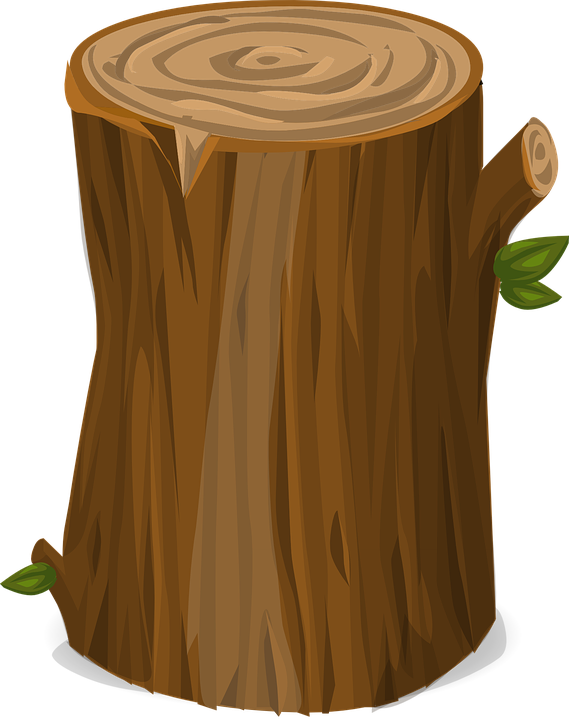 Tree Stump Illustration PNG